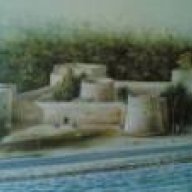 سعود الشحي