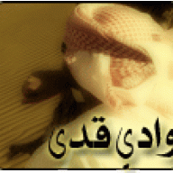 وادي قدى
