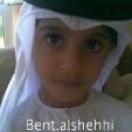 bent.alshehhi