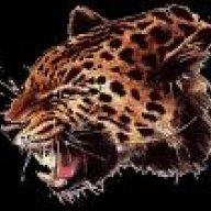 بنــ Cheetah ــــــت