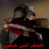 محمد الشــحي