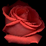 ShEHhi_Cute
