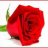 ♥ﻋٱﺸﭱۀٱﻠۈړﮃ«