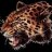بنــ Cheetah ــــــت
